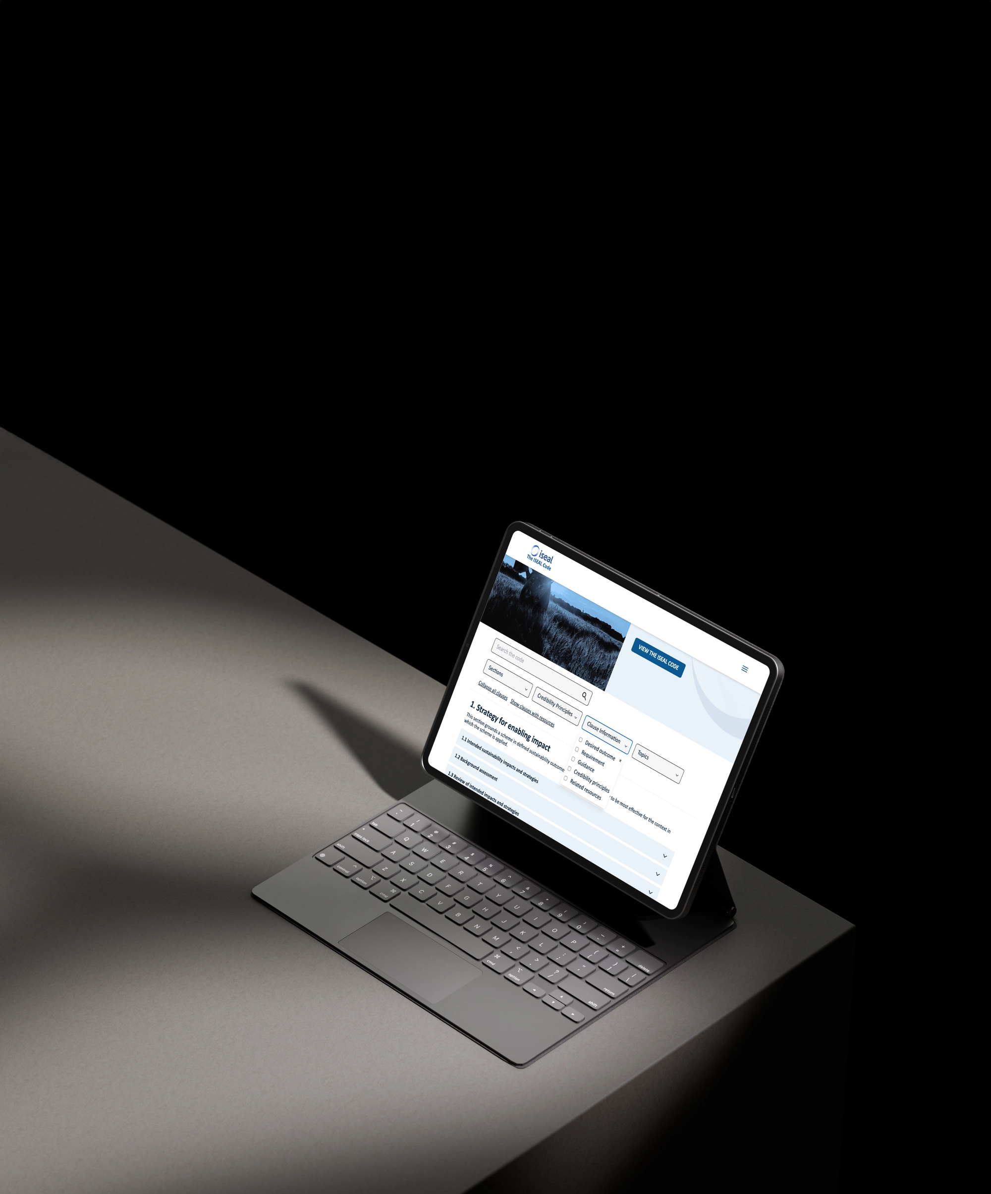 Iseal website on iPad