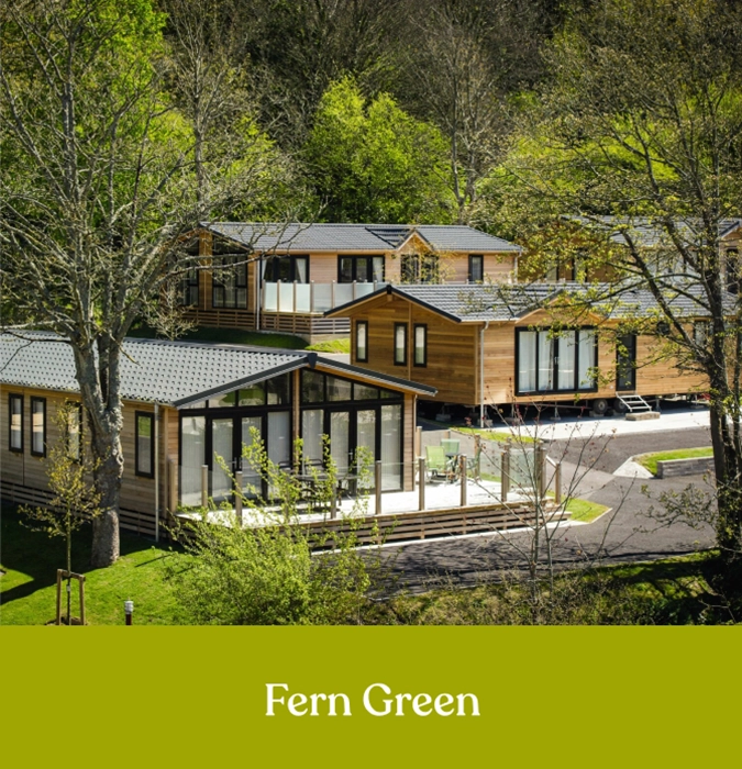 fern green colour